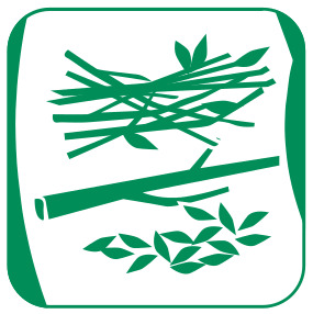 baum