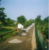 Juni 1989 Drainage verlegen