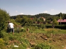 Arbeitseinsatz Einfahrt Vereinsheim  06.08.2008
