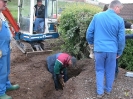 16.05.2009 Arbeitsainsatz Einfahrt Vereinshaus