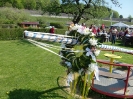 01.05.2012 KGV Maibaum aufstellen