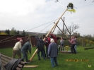 01.05.2013 Maibaum aufstellen