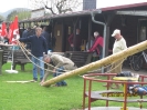 01.05.2013 Maibaum aufstellen