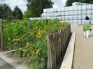 17.08.2013 Kleingarten Vereinsfahrt zur igs Hamburg