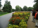 17.08.2013 Kleingarten Vereinsfahrt zur igs Hamburg