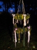 20.04.2013 Maibaum aufstellen Probelauf