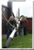 01.05.2014 Maibaum aufstellen