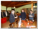 17.02.2018 Knobeln Kleingarten Aue