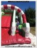 01.07.2018 Sommerfest Kleingarten Aue