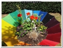 Bild 038