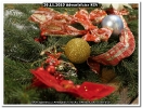 30.11.2019 Adventsfeier KGV