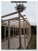 Bild 062