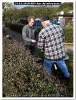 Bild00011