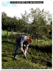 Bild00021
