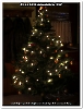 Bild004