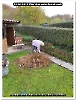 Bild007