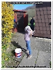 Bild002