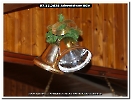 Bild008