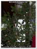 Bild 003