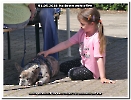 Bild 048