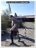 Bild 004