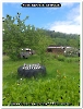 Bild 001