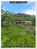Bild 002