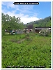 Bild 004