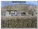 Bild 002